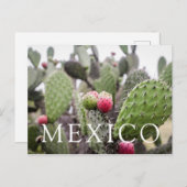 Sluiting van Prickly Pear Cactus Briefkaart (Voorkant / Achterkant)