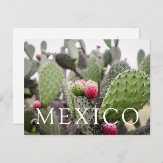 Sluiting van Prickly Pear Cactus Briefkaart (Voorkant / Achterkant)