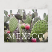 Sluiting van Prickly Pear Cactus Briefkaart (Voorkant)