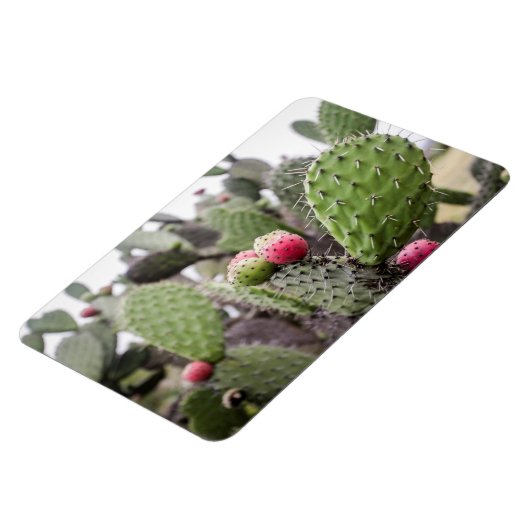 Sluiting van Prickly Pear Cactus Magneet (Linkerzijde)