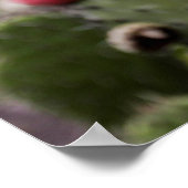 Sluiting van Prickly Pear Cactus Poster (Hoek)