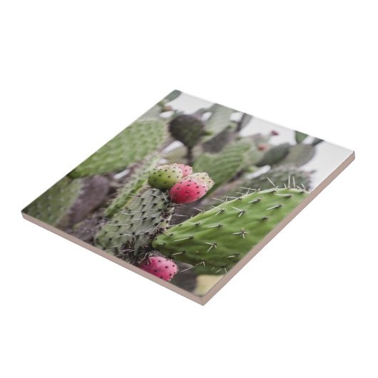 Sluiting van Prickly Pear Cactus Tegeltje (Zijkant)