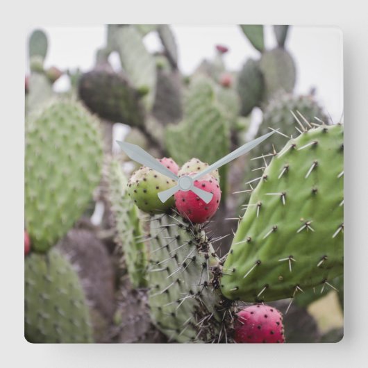 Sluiting van Prickly Pear Cactus Vierkante Klok (Voorkant)