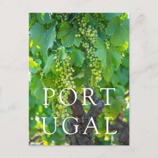 Sluiting van rijpende druiven briefkaart (Voorkant)