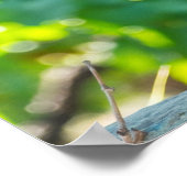 Sluiting van rijpende druiven poster (Hoek)