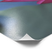 Sluiting van rode lotusbloem en groene bladeren foto afdruk (Hoek)