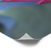 Sluiting van rode lotusbloem en groene bladeren poster (Hoek)