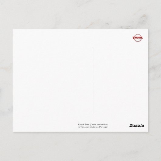 Sluiting van Spiky Kapok Tree Trunk : Funchal Made Briefkaart (Achterkant)