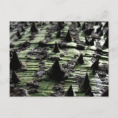 Sluiting van Spiky Kapok Tree Trunk : Funchal Made Briefkaart (Voorkant)