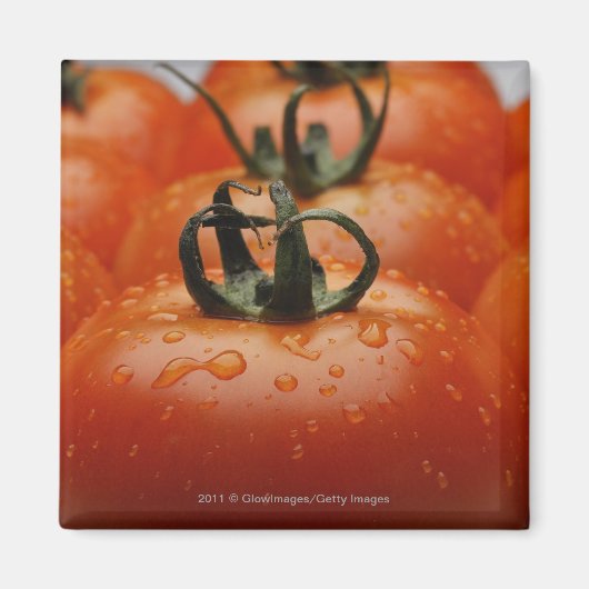 Sluiting van tomaten 2 magneet (Voorkant)