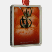 Sluiting van tomaten 2 metalen ornament (Rechts)