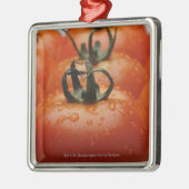 Sluiting van tomaten 2 metalen ornament (Links)