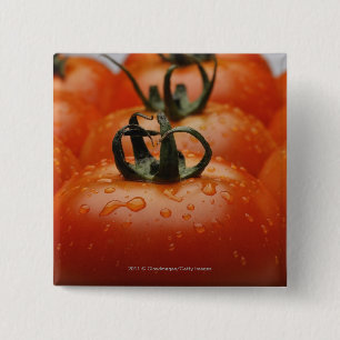 Sluiting van tomaten 2 vierkante button 5,1 cm