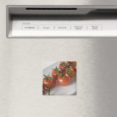 Sluiting van tomaten op een lade magneet (Insitu (Vaatwasser))