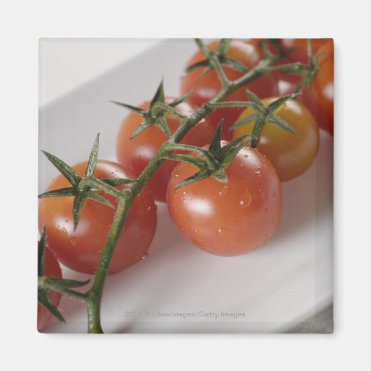 Sluiting van tomaten op een lade magneet (Voorkant)