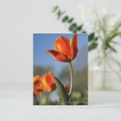 Sluiting van tulpbloemen briefkaart (Staand voorkant)