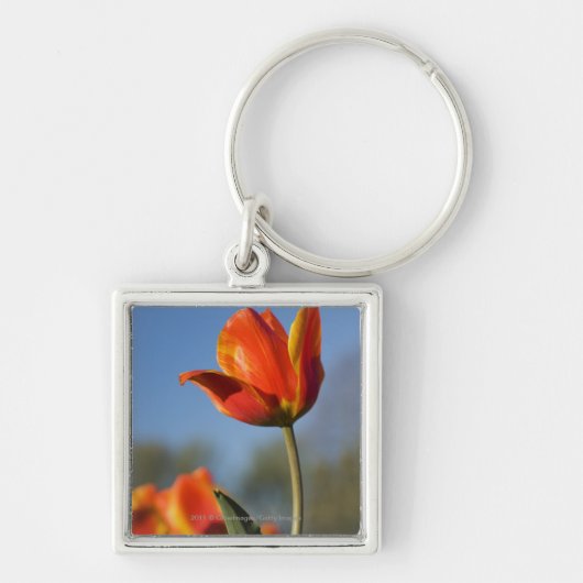 Sluiting van tulpbloemen sleutelhanger (Voorkant)