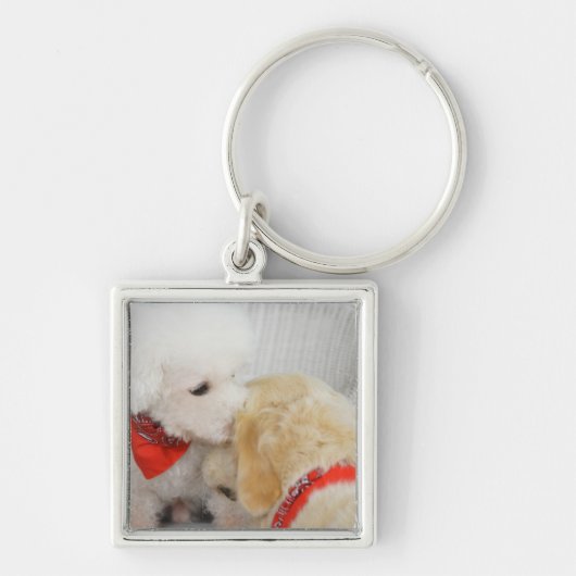 Sluiting van twee honden sleutelhanger (Voorkant)
