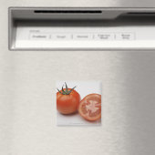 Sluiting van twee tomaten magneet (Insitu (Vaatwasser))