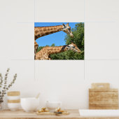 Sluiting van twee vakantie met giraffen poster (Keuken)