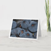 Sluiting van varkensfruit kaart (Voorkant)