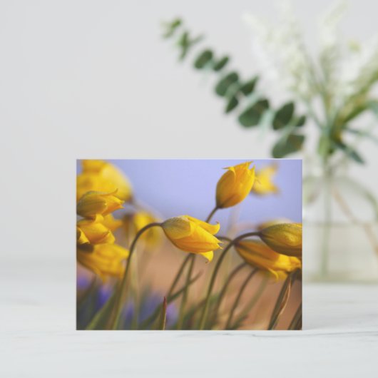 Sluiting van vervalsingen briefkaart (Staand voorkant)