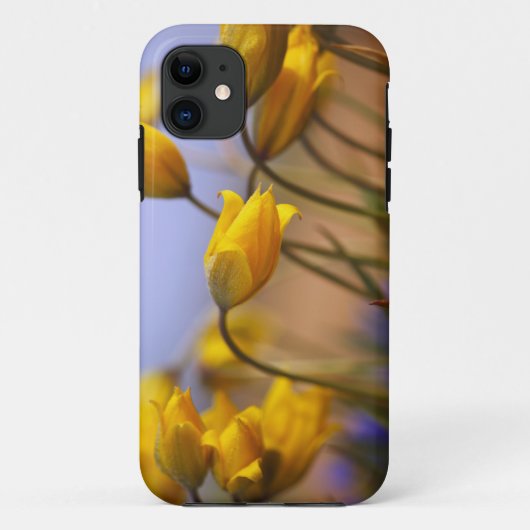 Sluiting van vervalsingen Case-Mate iPhone case (Achterkant)
