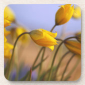 Sluiting van vervalsingen drankjes onderzetter (Voorkant)