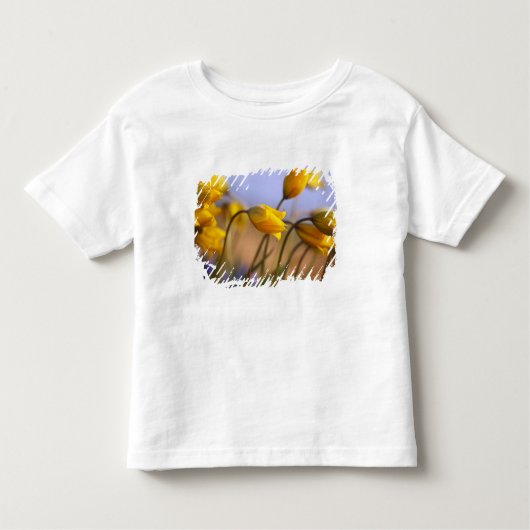 Sluiting van vervalsingen kinder shirts (Voorkant)