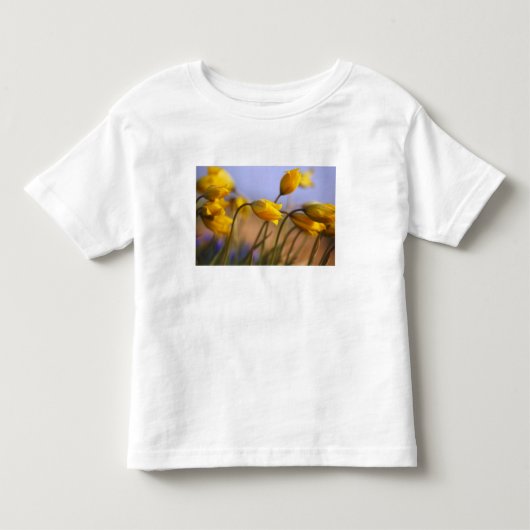 Sluiting van vervalsingen kinder shirts (Voorkant)