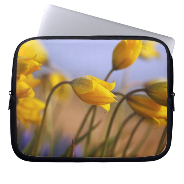 Sluiting van vervalsingen laptop sleeve (Voorkant)