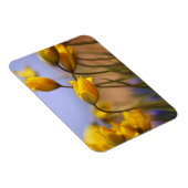 Sluiting van vervalsingen magneet (Rechterzijde)