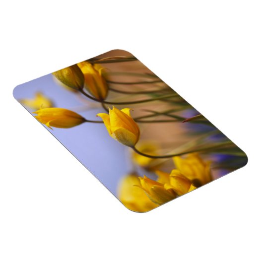 Sluiting van vervalsingen magneet (Rechterzijde)