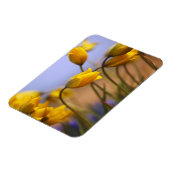 Sluiting van vervalsingen magneet (Linkerzijde)