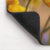 Sluiting van vervalsingen muismat (Hoek)