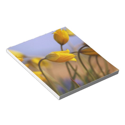 Sluiting van vervalsingen notitieblok (Schuin)