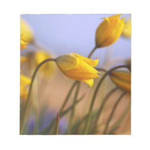 Sluiting van vervalsingen notitieblok