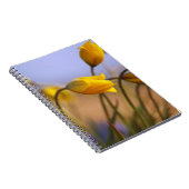 Sluiting van vervalsingen notitieboek (Rechterzijde)