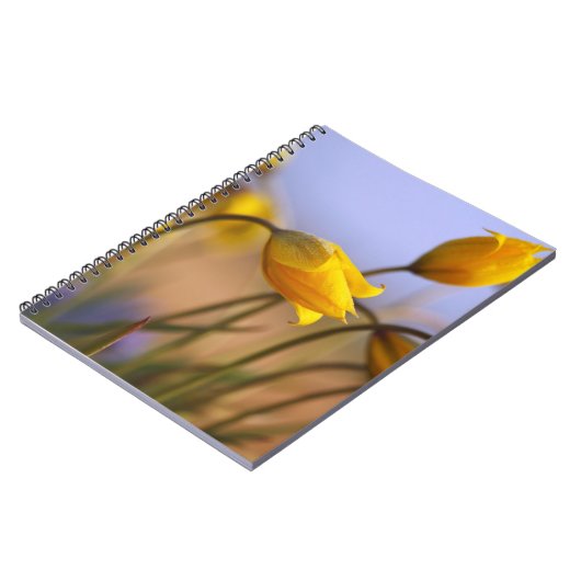 Sluiting van vervalsingen notitieboek (Linkerzijde)