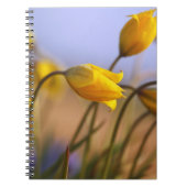 Sluiting van vervalsingen notitieboek (Voorkant)