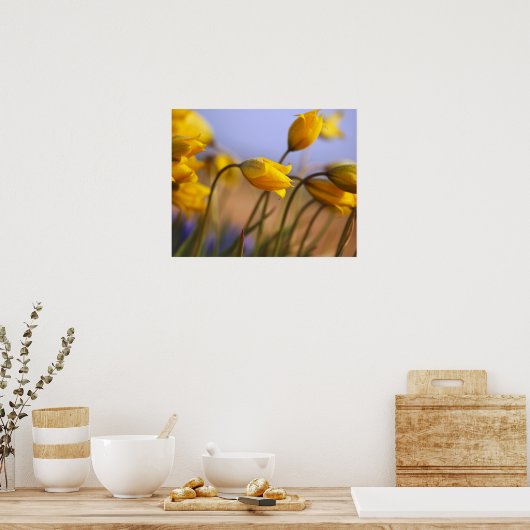 Sluiting van vervalsingen poster (Keuken)