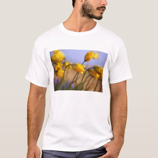 Sluiting van vervalsingen t-shirt (Voorkant)