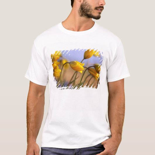 Sluiting van vervalsingen t-shirt (Voorkant)