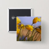 Sluiting van vervalsingen vierkante button 5,1 cm (Voorkant /achterkant)