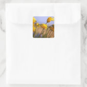 Sluiting van vervalsingen vierkante sticker (Tas)