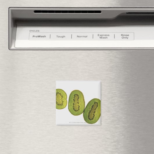 Sluiting van vijf plakken kiwi-vruchten magneet (Insitu (Vaatwasser))