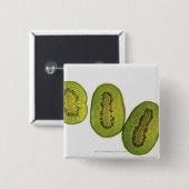 Sluiting van vijf plakken kiwi-vruchten vierkante button 5,1 cm (Voorkant /achterkant)