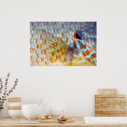 Sluiting van visschaaldieren poster (Keuken)