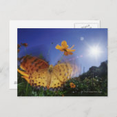 Sluiting van vlinder, vleugels met flapende vleuge briefkaart (Voorkant / Achterkant)