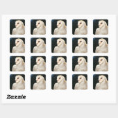 Sluiting van wilde uil vierkante sticker (Vel)